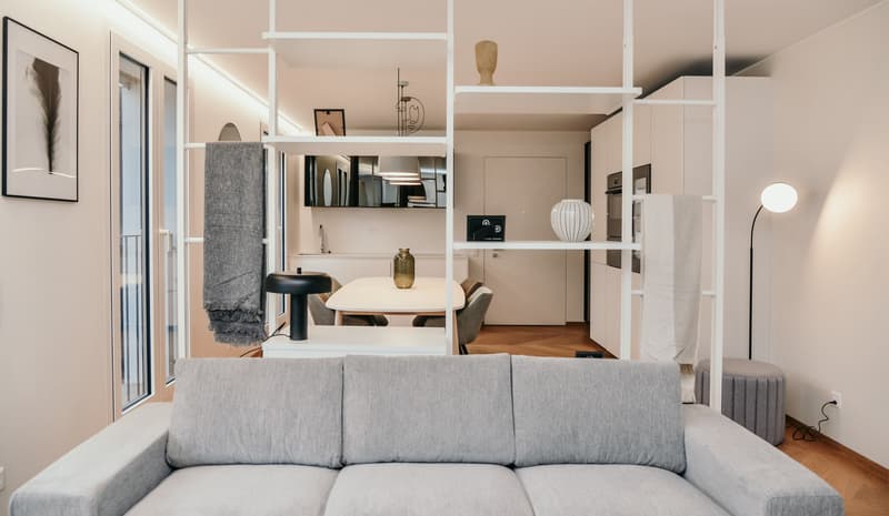 FANTASTICO APPARTAMENTO 3.5 LOCALI ARREDATO - CON SPLENDIDA VISTA SUL LAGO DI LUGANO (2)
