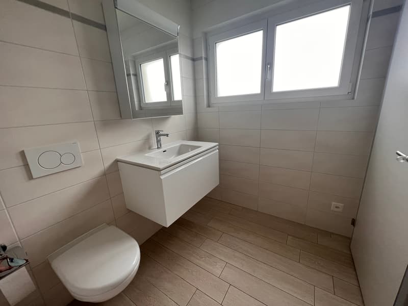 APPARTAMENTO 3.5 LOCALI MANSARDATO (9)