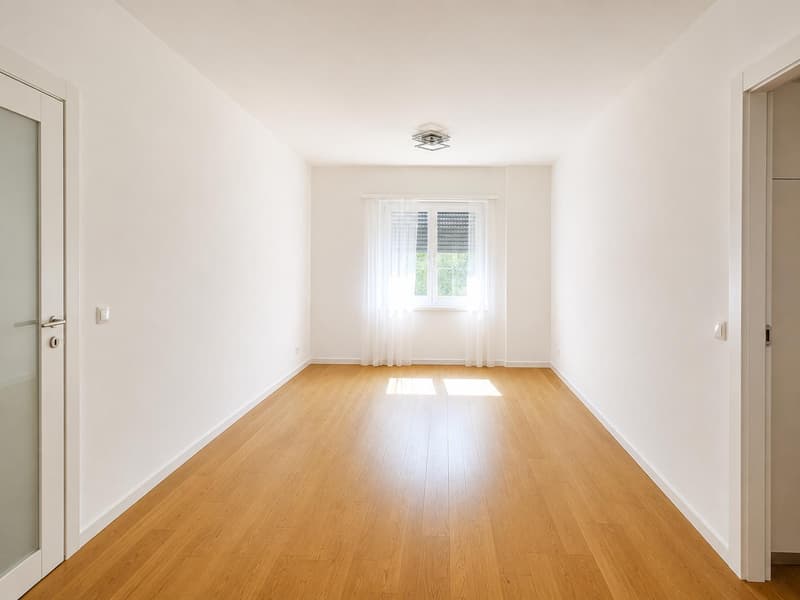 APPARTAMENTO 5.5 LOCALI - LUGANO CENTRO (4)