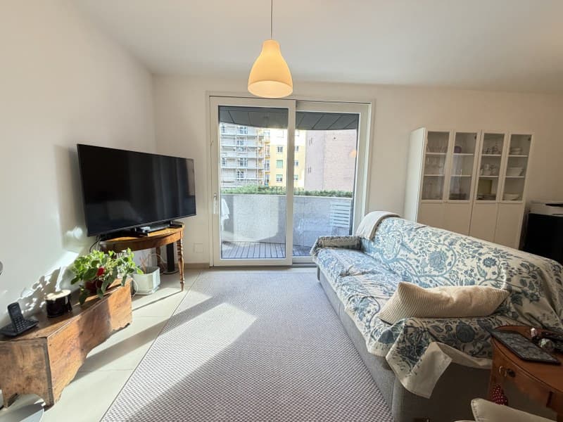 ELEGANTE APPARTAMENTO DI 2.5 LOCALI NEL CUORE DI LUGANO (4)