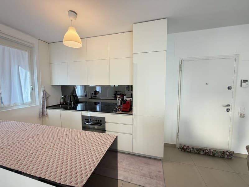 ELEGANTE APPARTAMENTO DI 2.5 LOCALI NEL CUORE DI LUGANO (3)