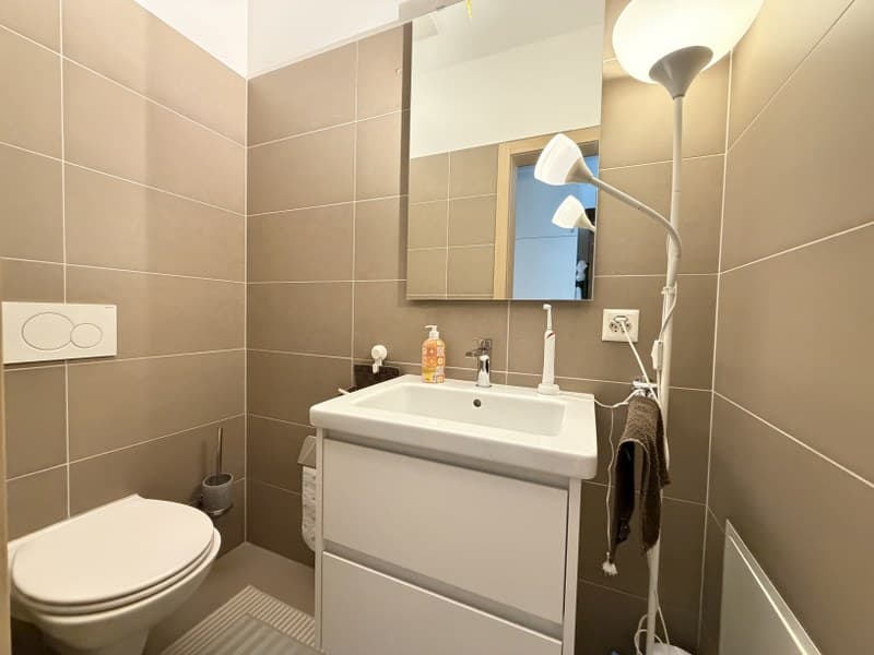 ELEGANTE APPARTAMENTO DI 2.5 LOCALI NEL CUORE DI LUGANO (7)