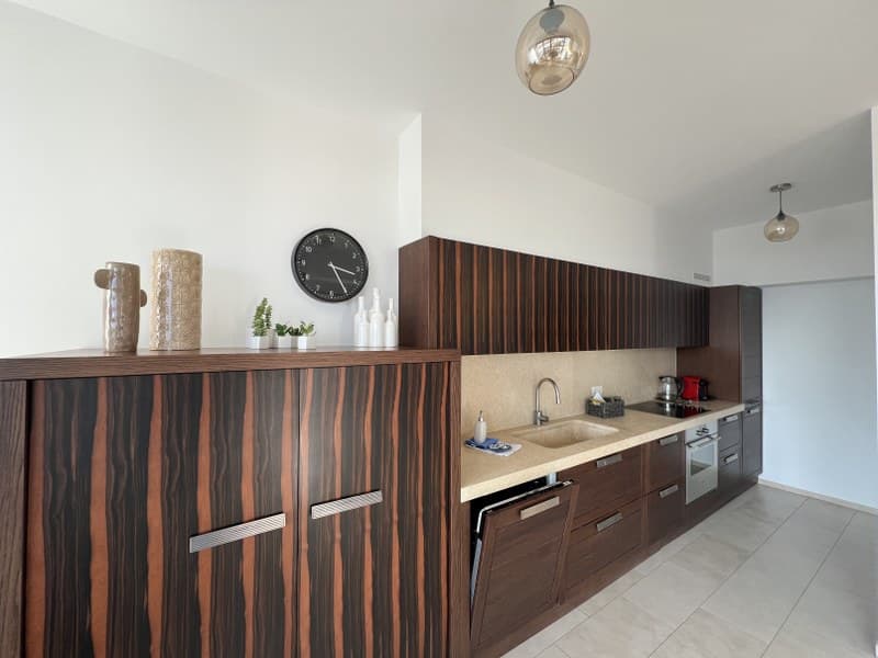 ELEGANTE APPARTAMENTO AMMOBILIATO DI 4.5 LOCALI CON TERRAZZE E VISTA LAGO CASSARATE (5)