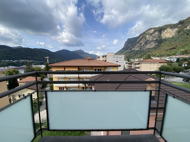 APPARTAMENTO 3.5 LOCALI AL 4 E ULTIMO PIANO CON VISTA SUI MONTI (10)