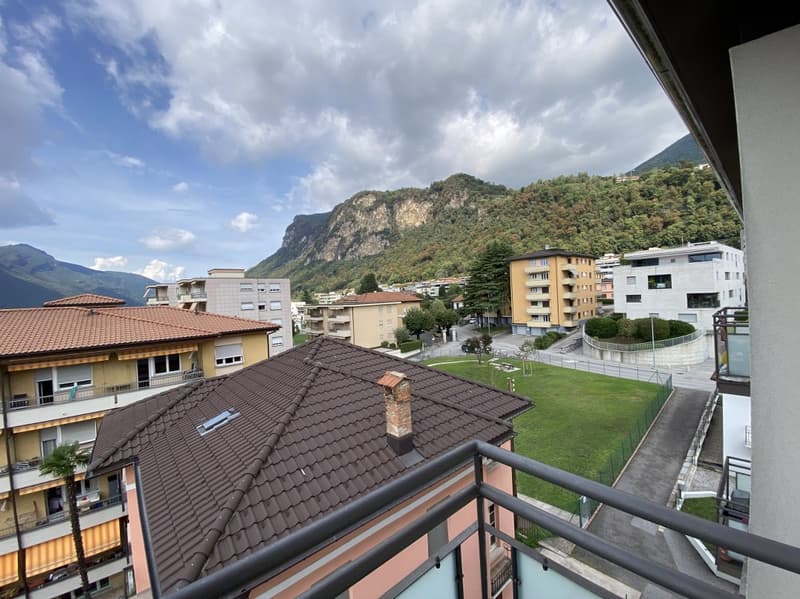 APPARTAMENTO 3.5 LOCALI AL 4 E ULTIMO PIANO CON VISTA SUI MONTI (2)