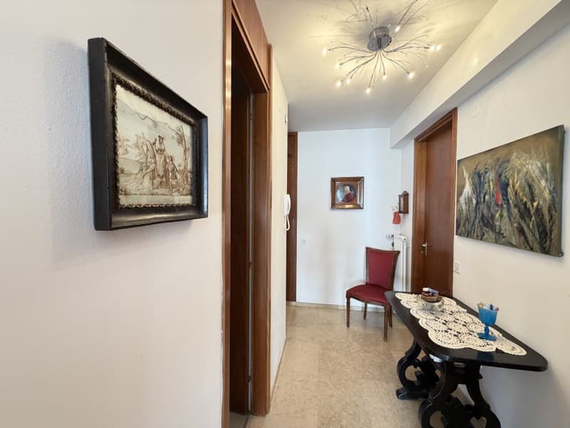 2.5 LOCALI CON TERRAZZA E PARZIALE VISTA LAGO PARADISO (10)