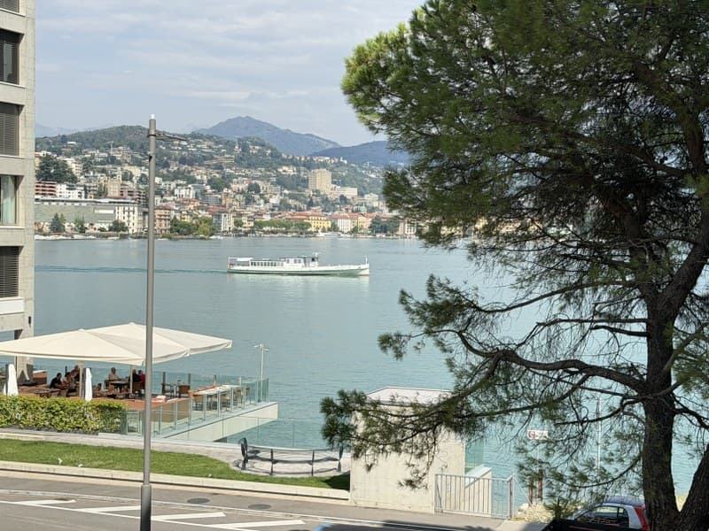 2.5 LOCALI CON TERRAZZA E PARZIALE VISTA LAGO PARADISO (1)