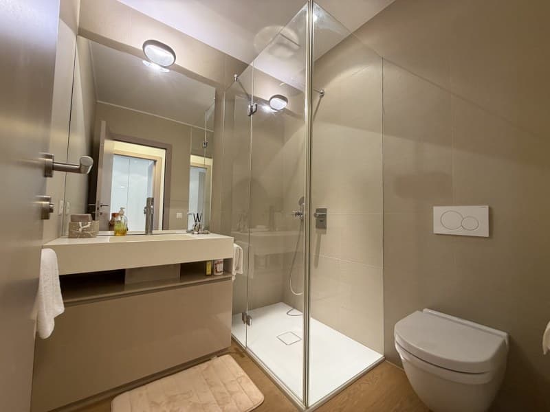 APPARTAMENTO DI 3,5 LOCALI ARREDATO CON VISTA LAGO, GIARDINO E TERRAZZE PANORAMICHE (11)