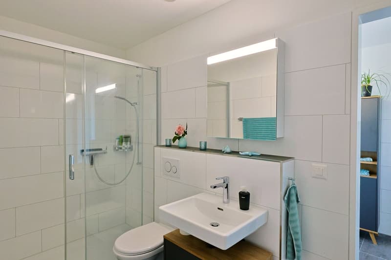 Imposante Attikawohnung mit grosser Terrasse – modern, ruhig und nachhaltig (8)