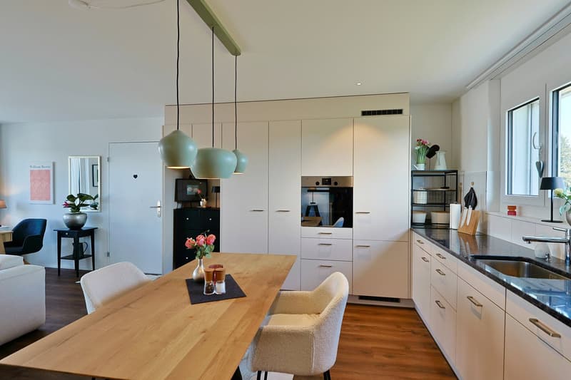 Imposante Attikawohnung mit grosser Terrasse – modern, ruhig und nachhaltig (5)