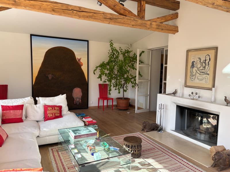 Maison de village suisse charmante avec piscine et spa (4)
