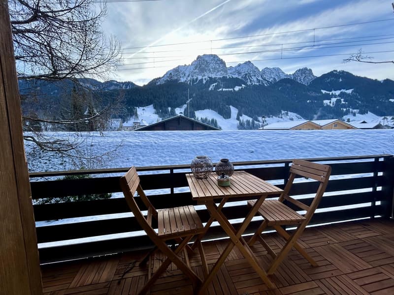 Chalet indépendant de vacances dans le village de Rougemont (5)