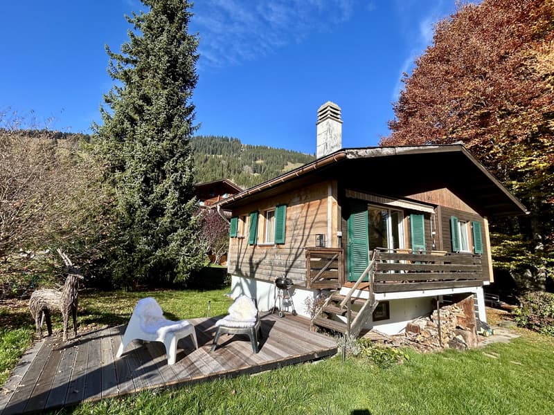 Chalet indépendant de vacances dans le village de Rougemont (12)