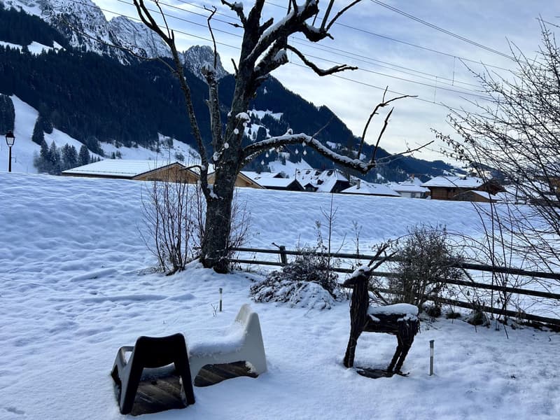 Chalet indépendant de vacances dans le village de Rougemont (11)
