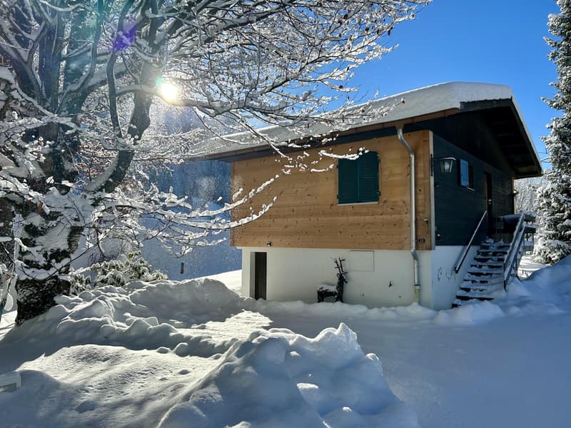 Chalet indépendant de vacances dans le village de Rougemont (1)