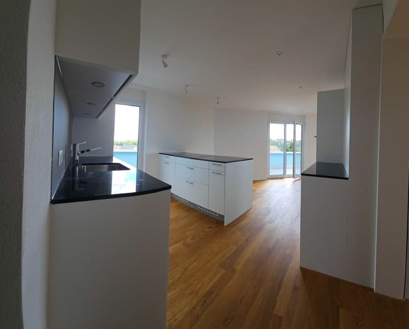 PICCOLO. RAFFINATO. ALPI SULLA PORTA. - APPARTAMENTO IN MANSARDA CON TERRAZZA PANORAMICA MOZZAFIATO (2)