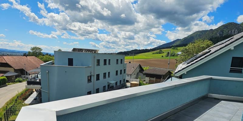 PICCOLO. RAFFINATO. ALPI SULLA PORTA. - APPARTAMENTO IN MANSARDA CON TERRAZZA PANORAMICA MOZZAFIATO (12)