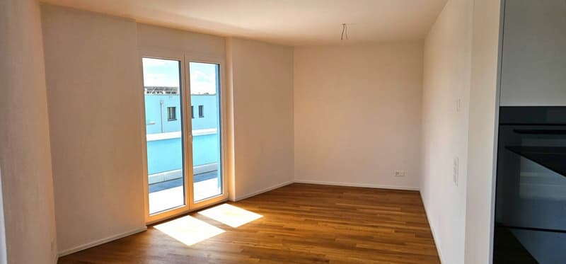 PICCOLO. RAFFINATO. ALPI SULLA PORTA. - APPARTAMENTO IN MANSARDA CON TERRAZZA PANORAMICA MOZZAFIATO (6)