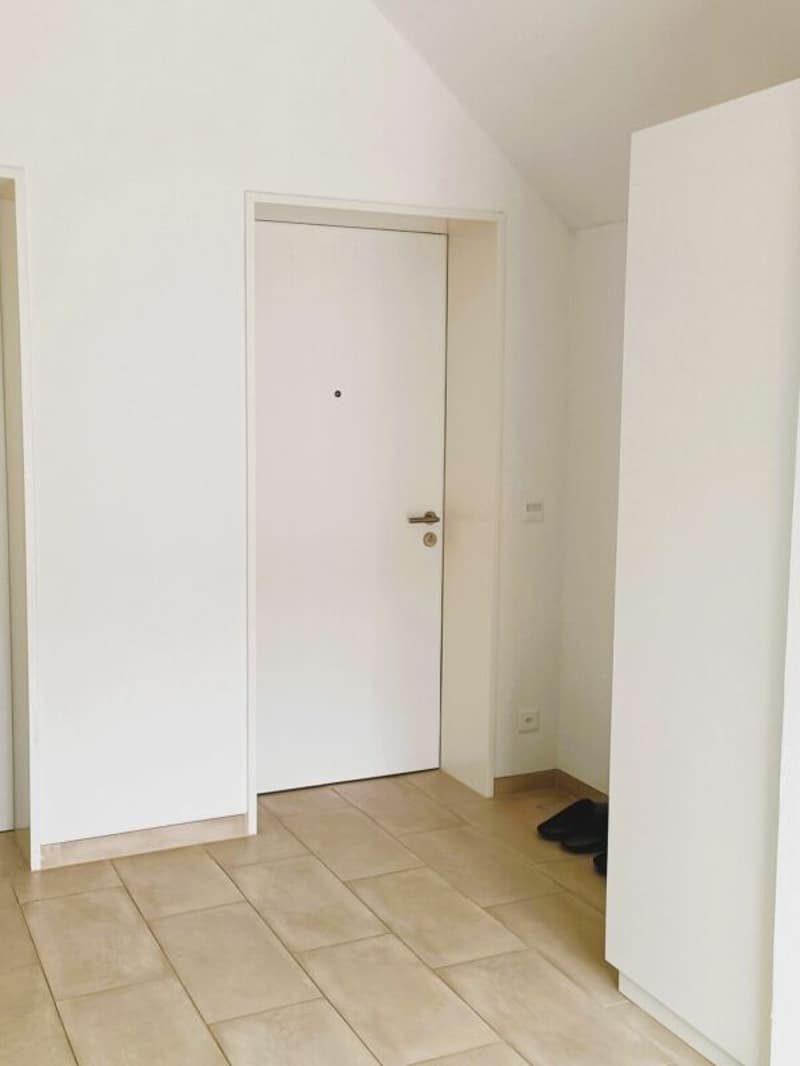 Wohnen mit viel Cachet: Dachwohnnug in Lommiswil (14)