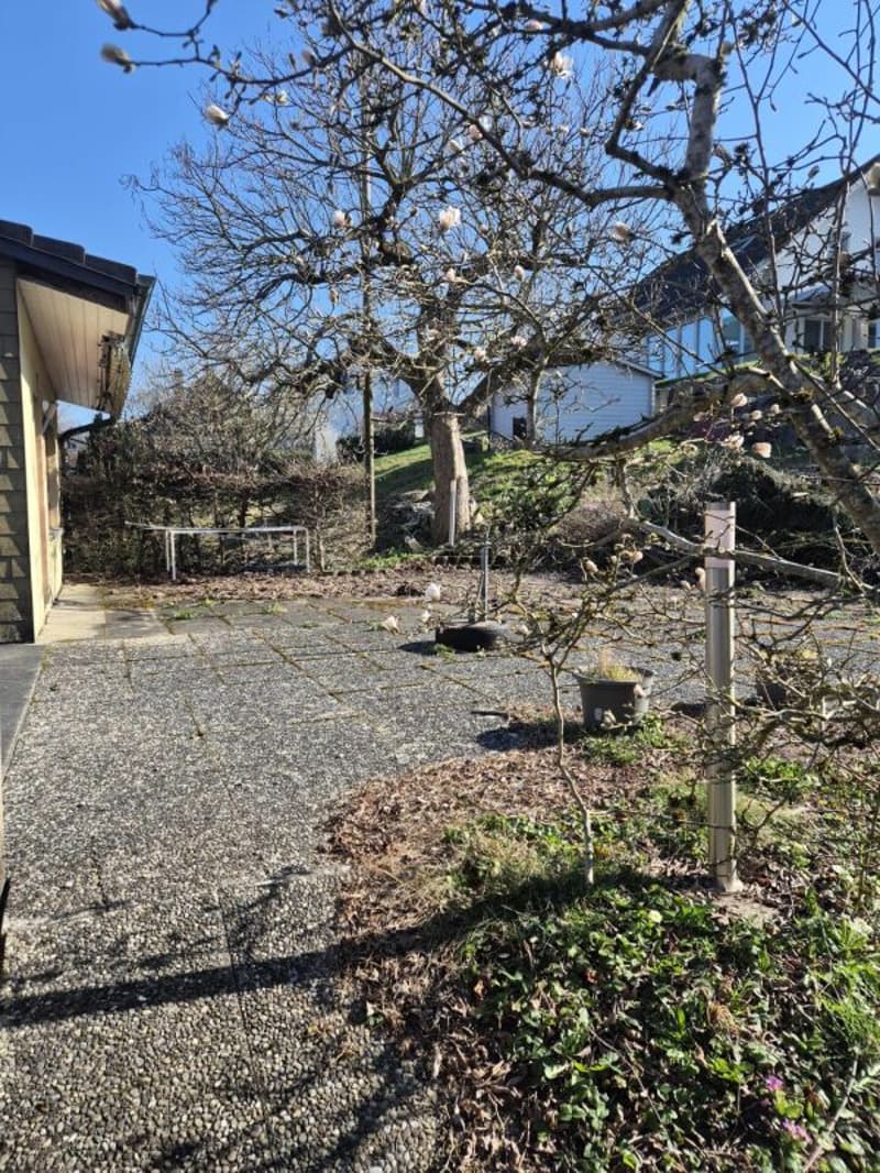 Einfamilienhaus an schöner Lage in Kestenholz (7)