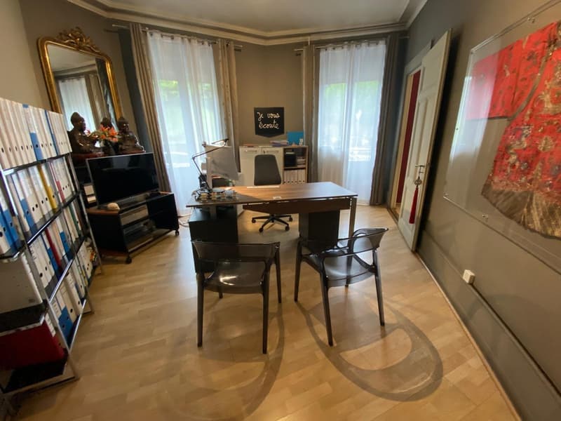 Boulevard Helvétique - Büroflächen zur Miete (4)