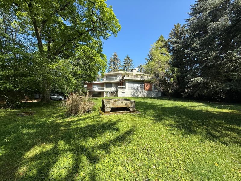 EXCLUSIVITY - Collonge-Bellerive - Property to renovate on an exceptional plot (1)