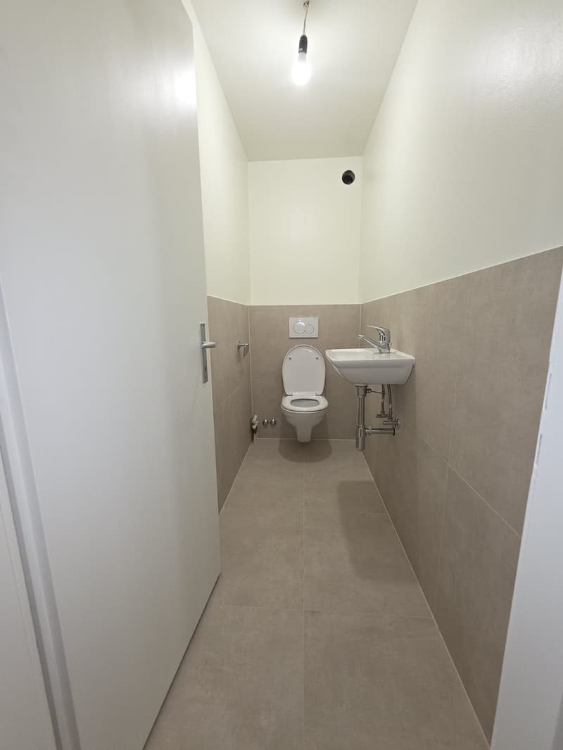 Coppet, großes 2-Zimmer-Wohnung zur Miete (7)