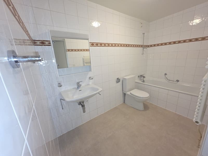 Coppet, großes 2-Zimmer-Wohnung zur Miete (6)