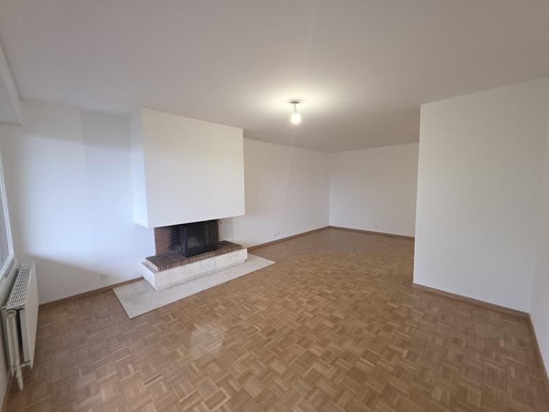 Coppet, großes 2-Zimmer-Wohnung zur Miete (4)