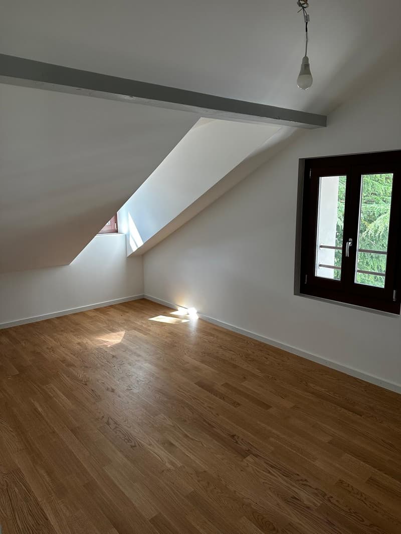 Schönes 3-Zimmer-Apartment zur Miete in Bellevue (3)