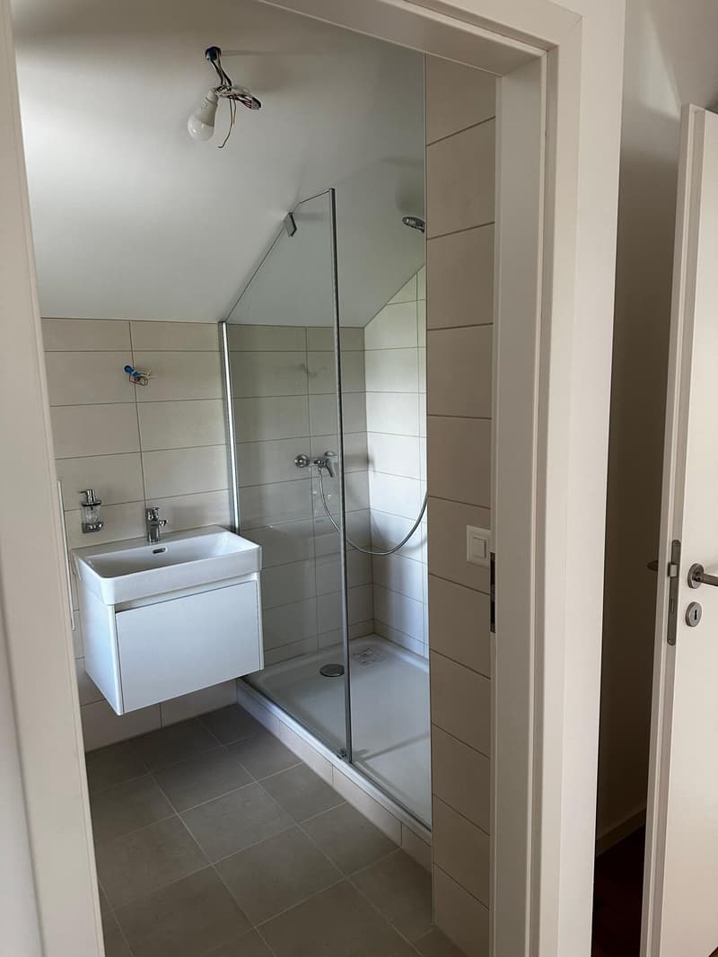 Schönes 3-Zimmer-Apartment zur Miete in Bellevue (4)