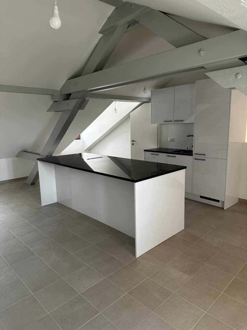 Schönes 3-Zimmer-Apartment zur Miete in Bellevue (2)