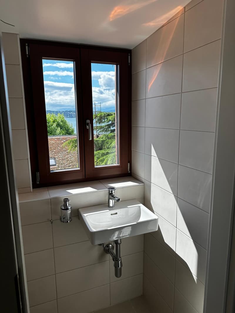 Schönes 3-Zimmer-Apartment zur Miete in Bellevue (5)
