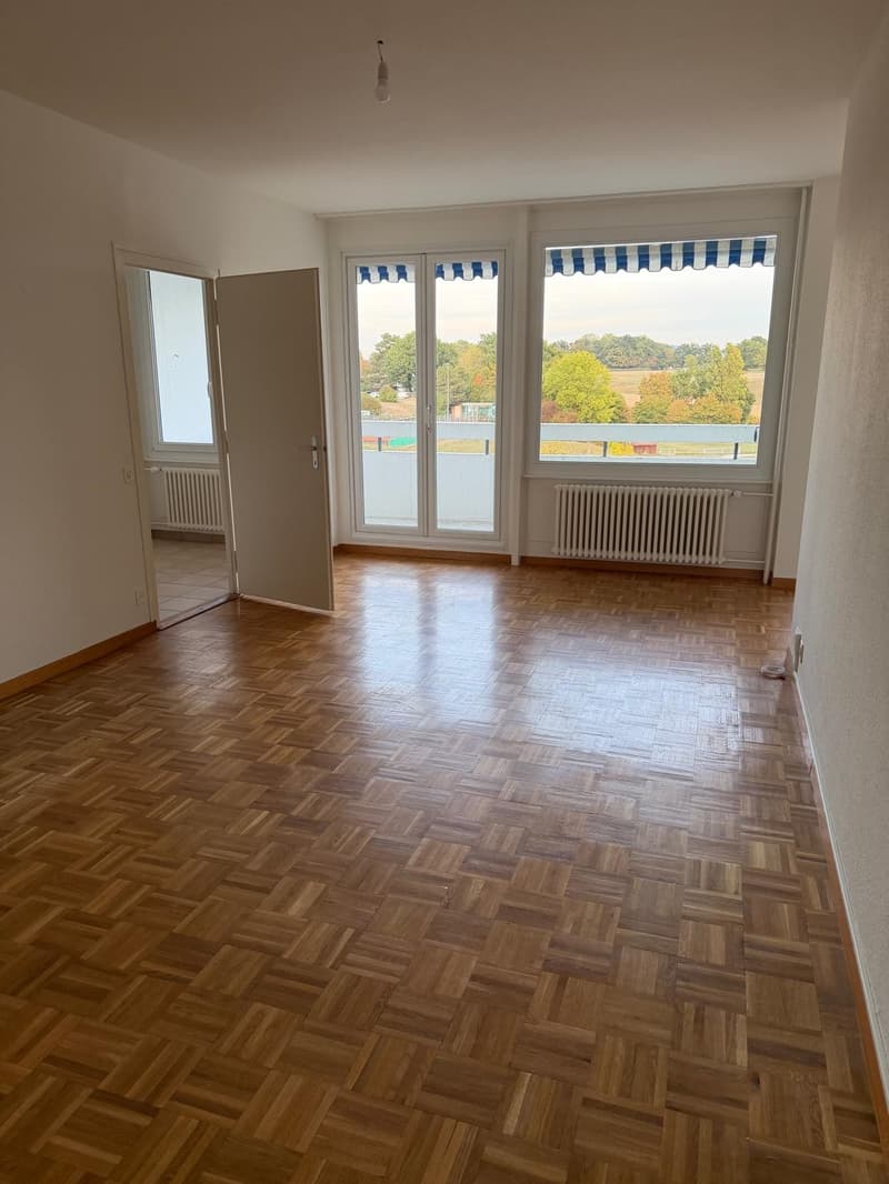 Appartement de 6 pièces avec balcon à Avully (1)