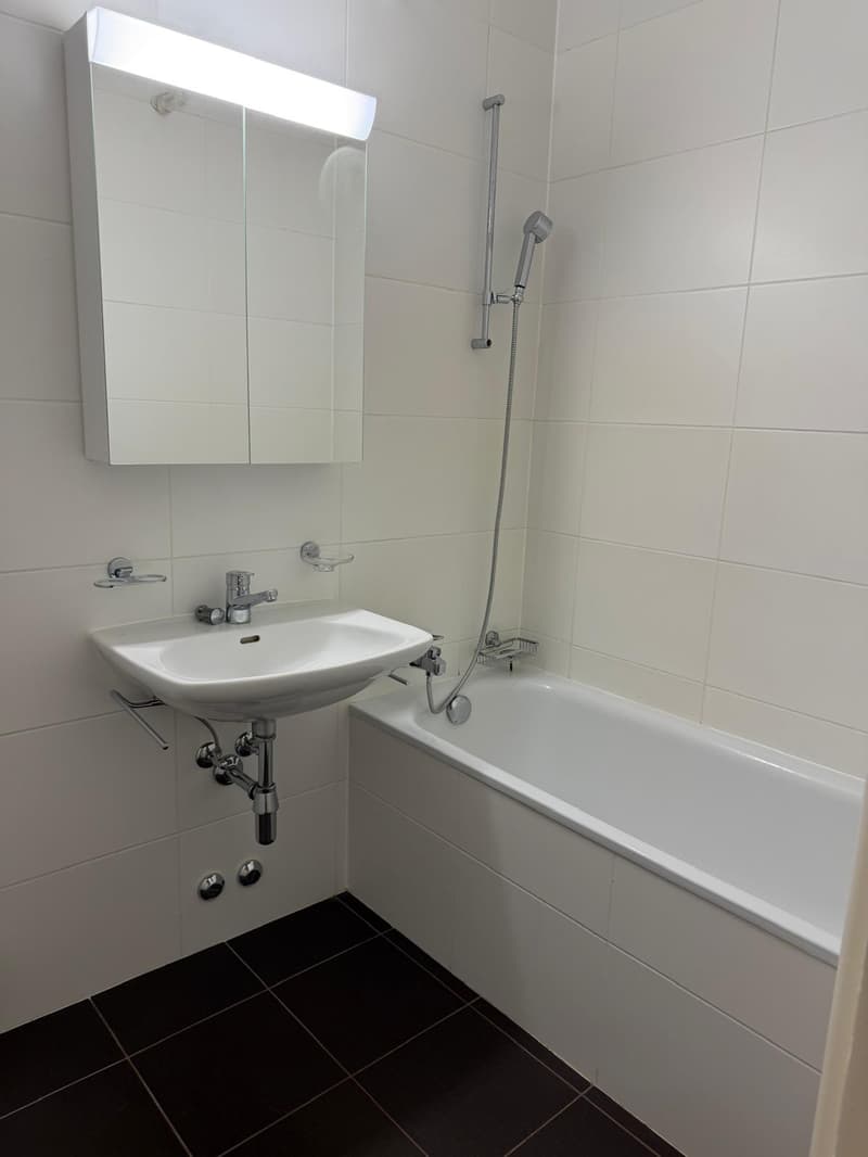 Appartement de 6 pièces avec balcon à Avully (7)