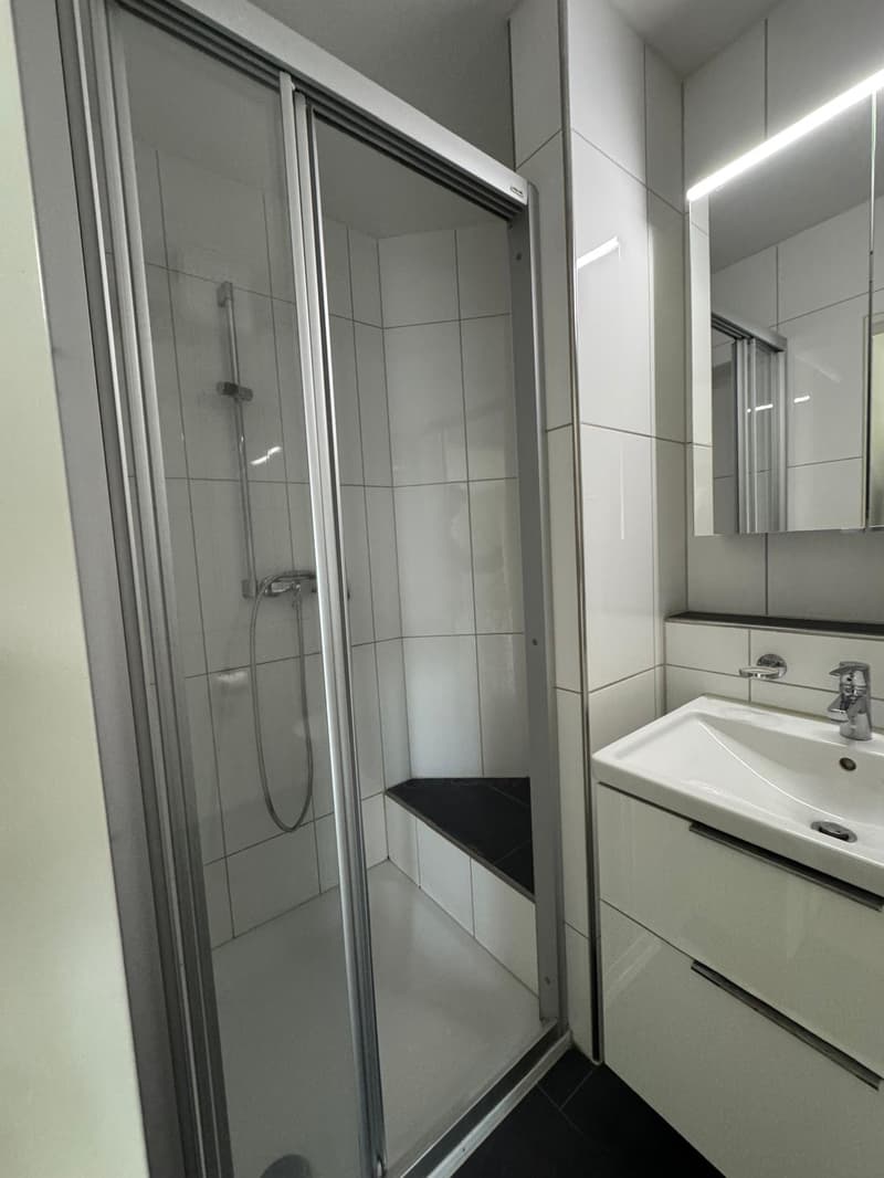 Gemütliche 2-Zimmer-Wohnung mit Balkon in Bazenheid (5)