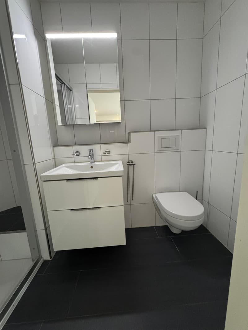 Gemütliche 2-Zimmer-Wohnung mit Balkon in Bazenheid (4)