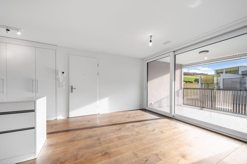 Appartement attique exclusif de 3,5 pièces à Oberrohrdorf (9)