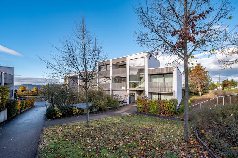 Exklusive 3.5-Zimmer-Attikawohnung in Oberrohrdorf (1)