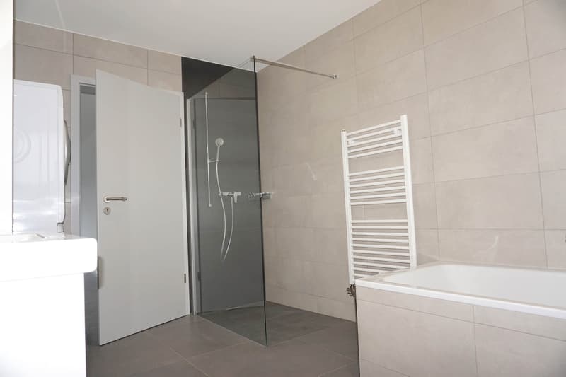 4 apartment with 3.5 rooms (4)