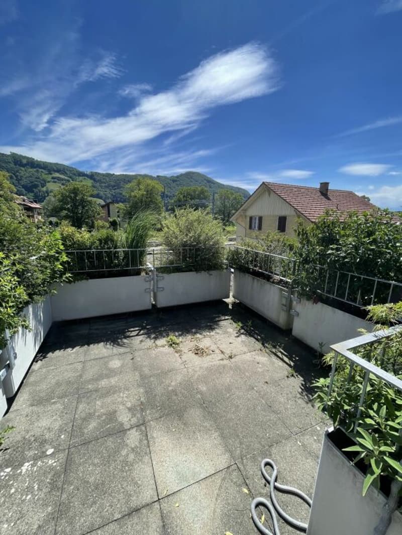 Appartamento soleggiato di 3,5 locali con terrazza sul tetto (1)