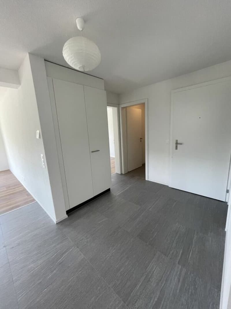 Appartamento soleggiato di 3,5 locali con terrazza sul tetto (7)