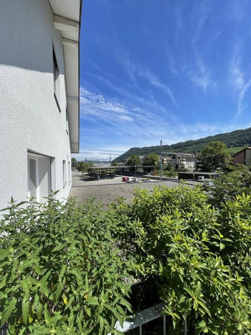 Appartamento soleggiato di 3,5 locali con terrazza sul tetto (6)