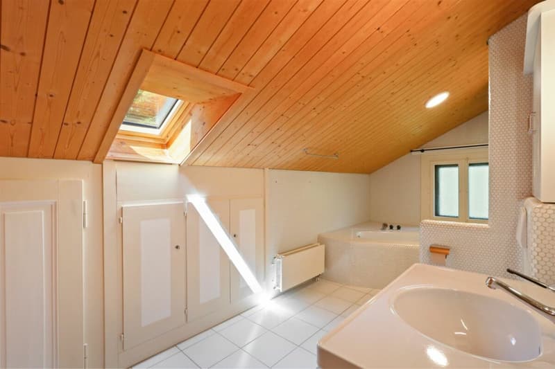 Appartement mansardé de 3,5 pièces (22)