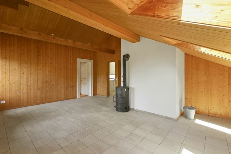 Appartement mansardé de 3,5 pièces (16)