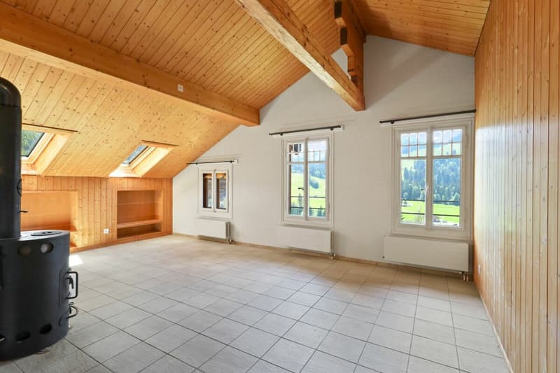 Appartement mansardé de 3,5 pièces (15)