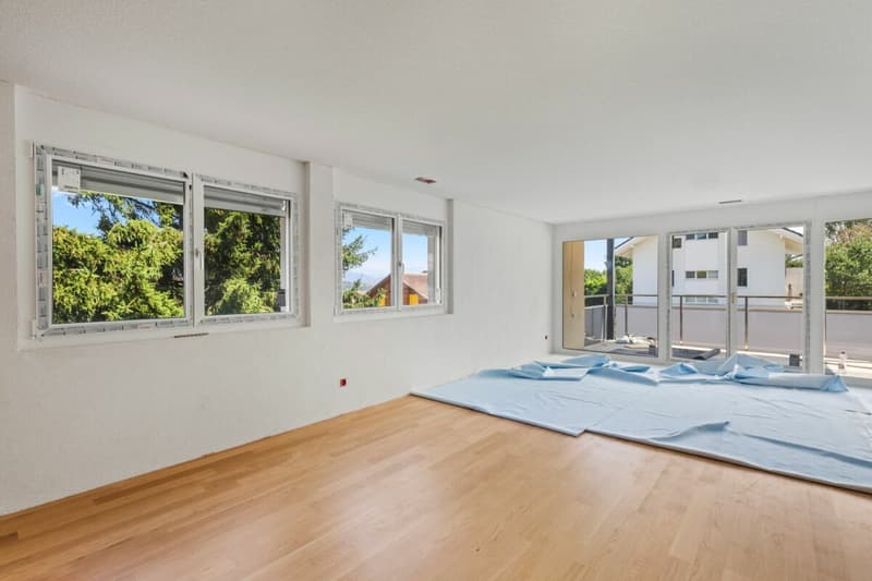 4.5-Zi. Wohnung mit herrlicher Fernsicht (4)