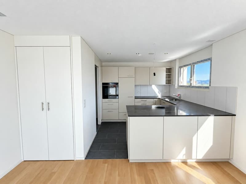 4.5-Zi. Wohnung mit herrlicher Fernsicht (3)