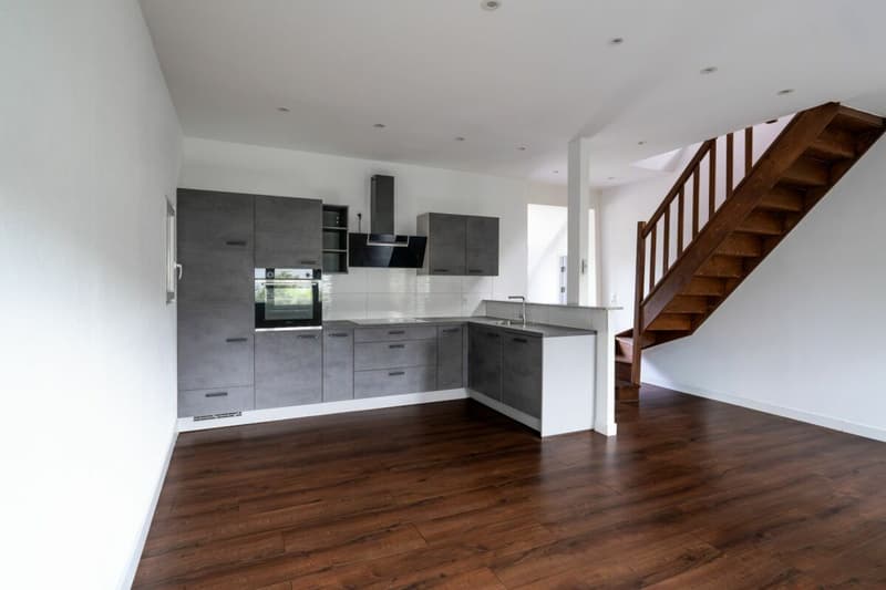 Rental Property in Herzogenbuchsee (1)