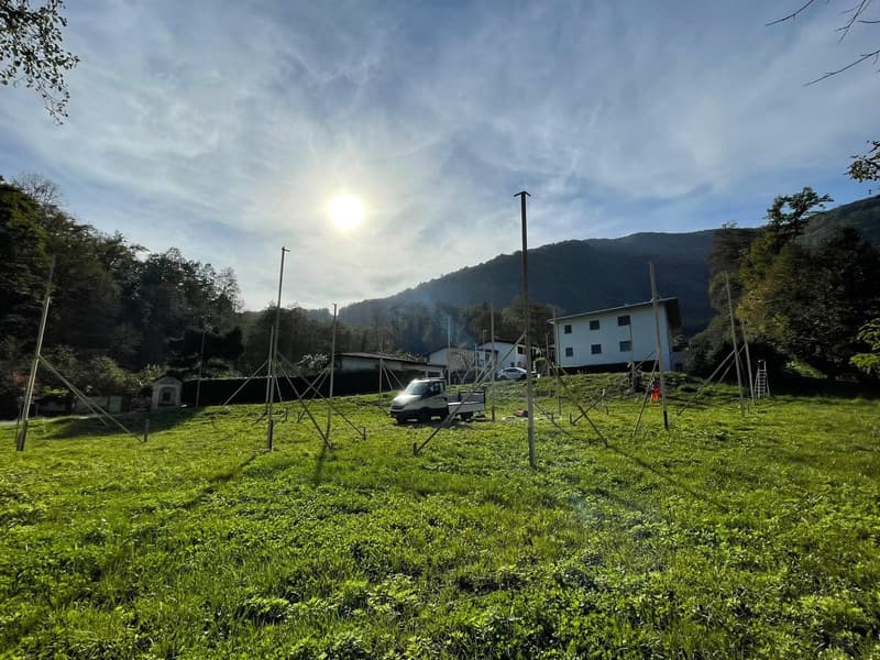 Building plot in quiet location in Arcegno (7)
